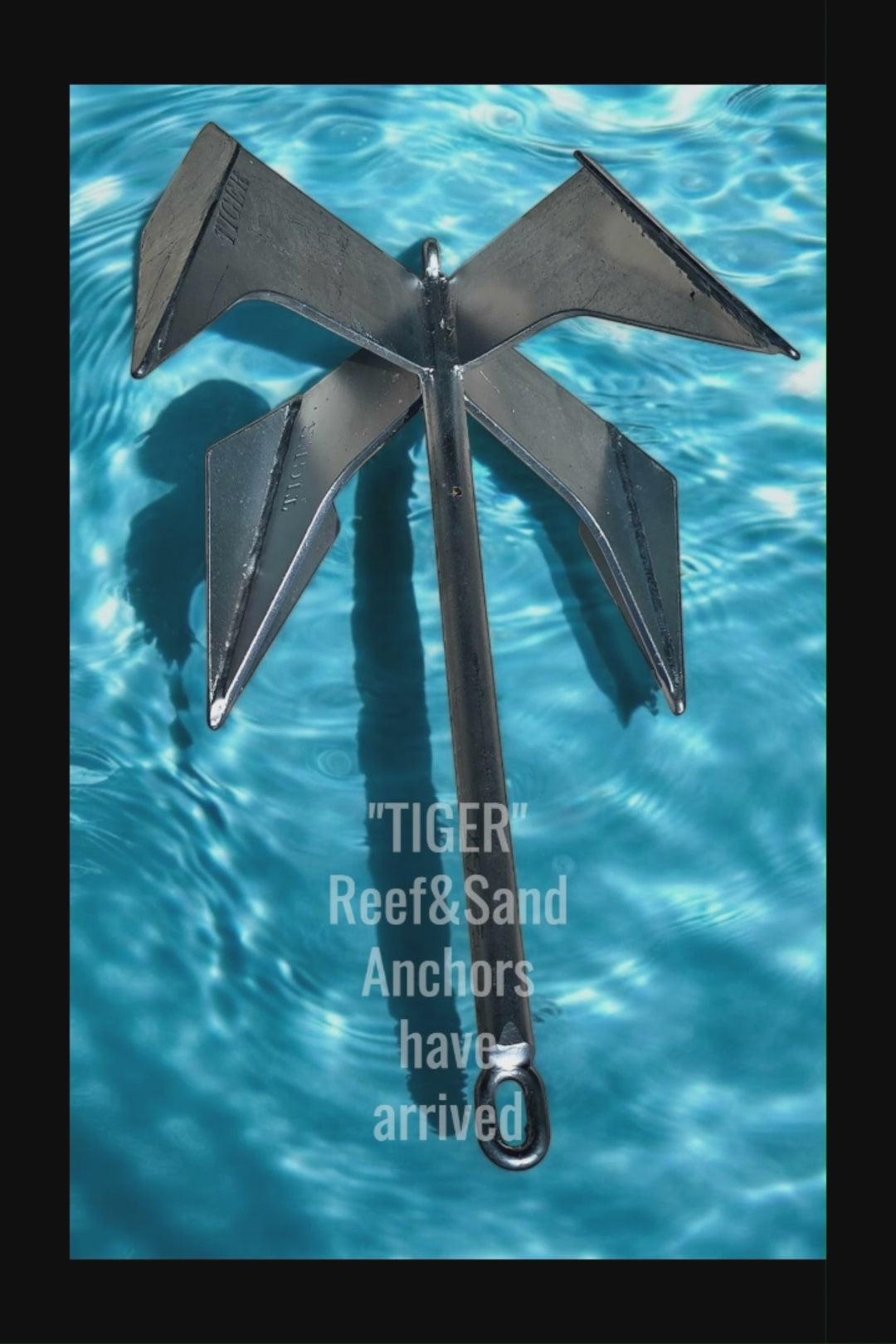 Stainless steel TIGER reef and sand anchor displayed in clear blue water durable, heavy-duty anchor designed for reliable holding power on both reef and sandy seabeds